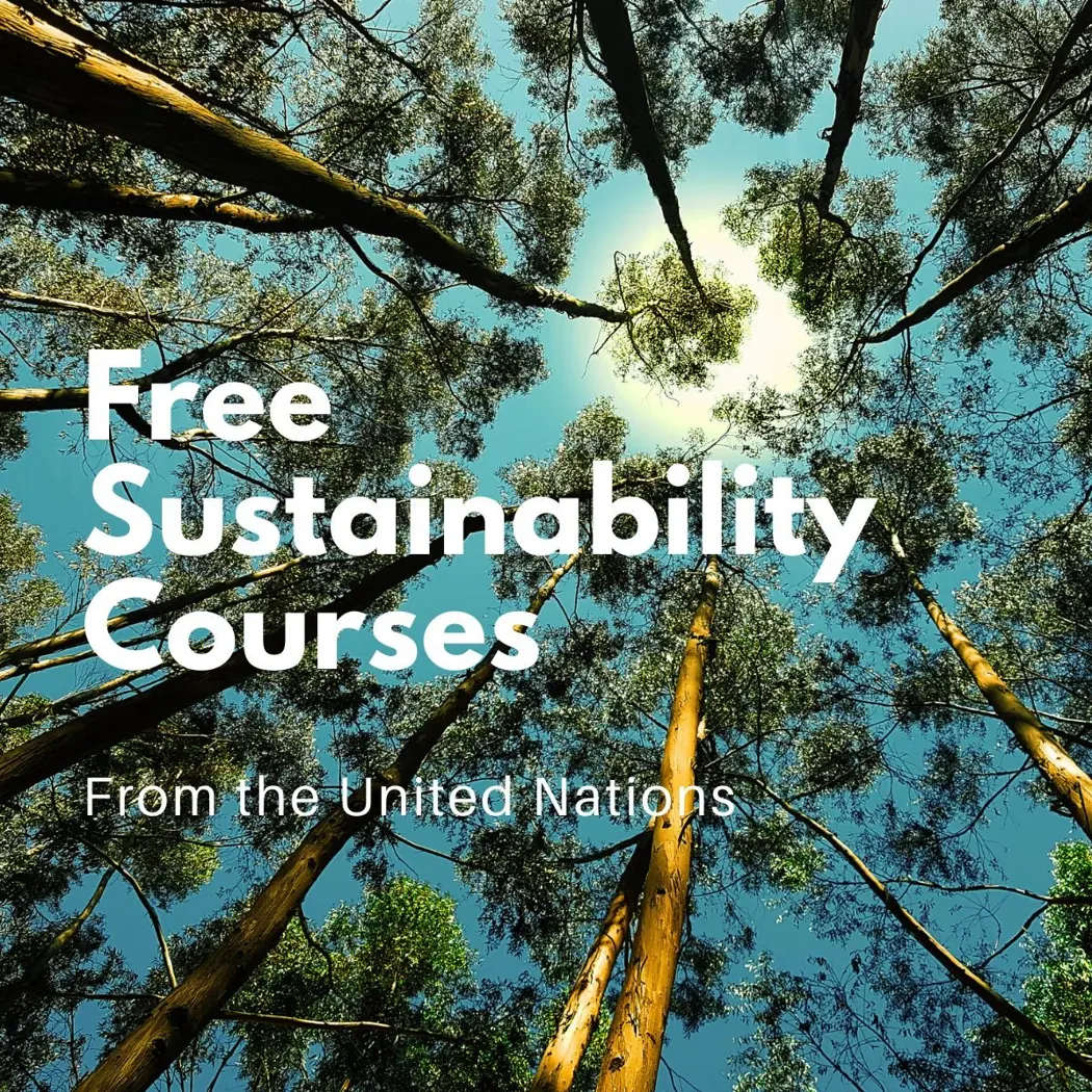 Lifelong learning needs depth – original post preview